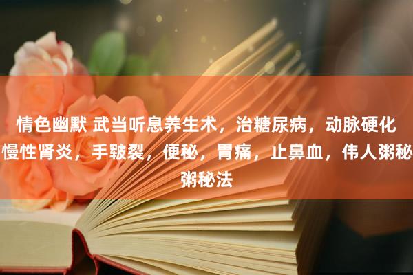 情色幽默 武当听息养生术，治糖尿病，动脉硬化，慢性肾炎，手皲裂，便秘，胃痛，止鼻血，伟人粥秘法