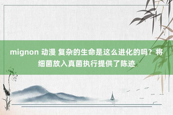 mignon 动漫 复杂的生命是这么进化的吗？将细菌放入真菌执行提供了陈迹