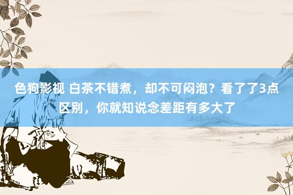 色狗影视 白茶不错煮，却不可闷泡？看了了3点区别，你就知说念差距有多大了