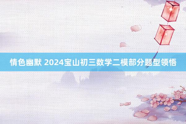 情色幽默 2024宝山初三数学二模部分题型领悟