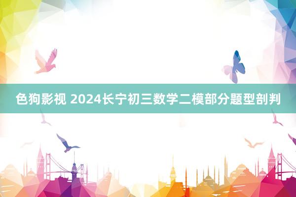 色狗影视 2024长宁初三数学二模部分题型剖判