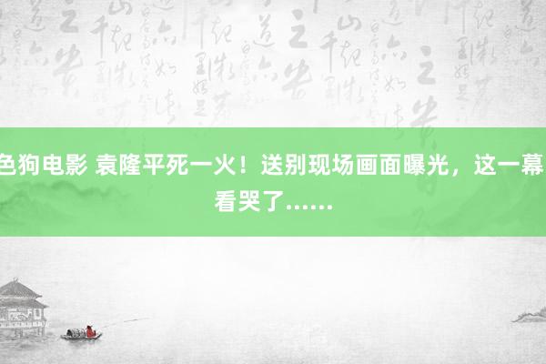 色狗电影 袁隆平死一火！送别现场画面曝光，这一幕，看哭了......